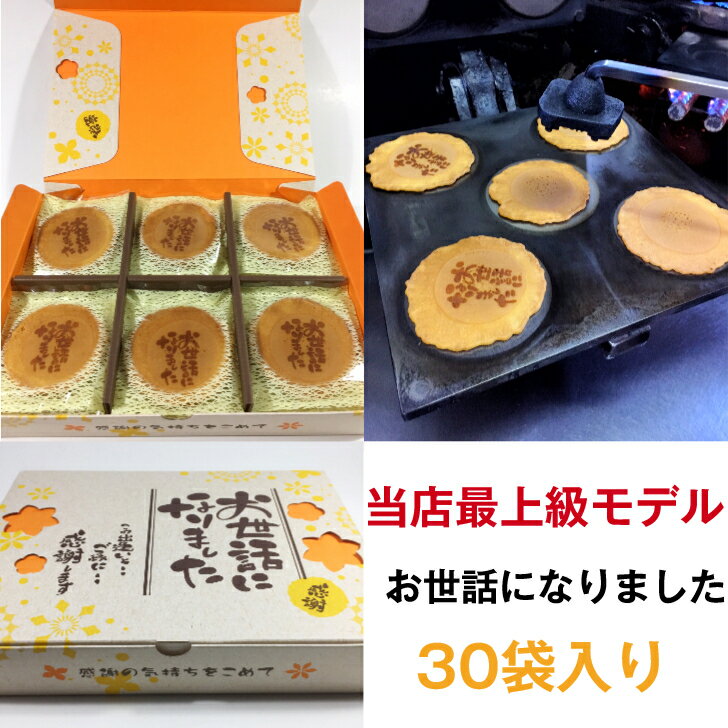 お世話になりました 30袋入り ギフト 父の日 贈り物 退職 お菓子 喜ばれる あす楽 個包装 大量 詰め合わせ ギフト 新潟 煎餅 メッセージ 送料無料 プレゼント お礼 感謝 引越し 卒業 異動 贈答用 餞別 スイーツ  