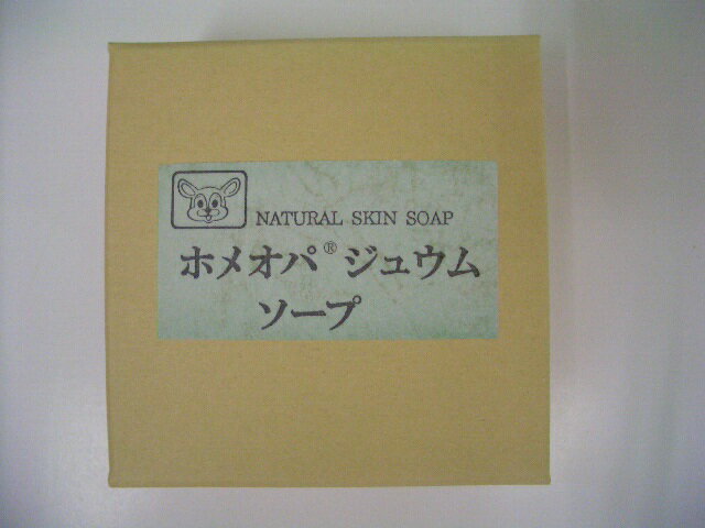 【ホメオパジュウムソープ】100g　2個送料無料【北海道・沖縄・離島別途送料必要】【smtb-k】【w1】 1