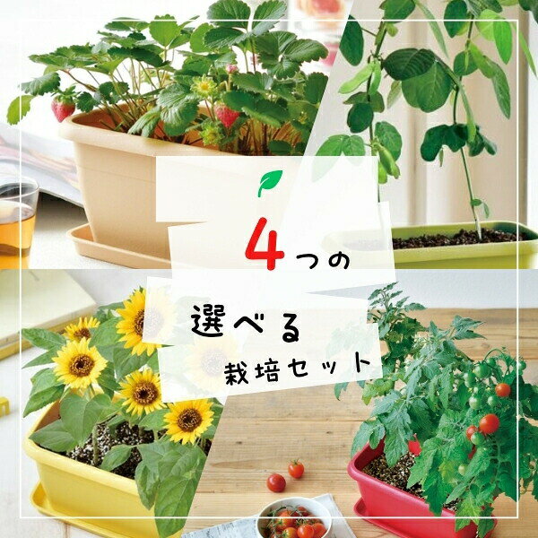 【期間限定ポイント5倍】【ラッピング無料】 自由に選べる2個セット 子どもと育て...