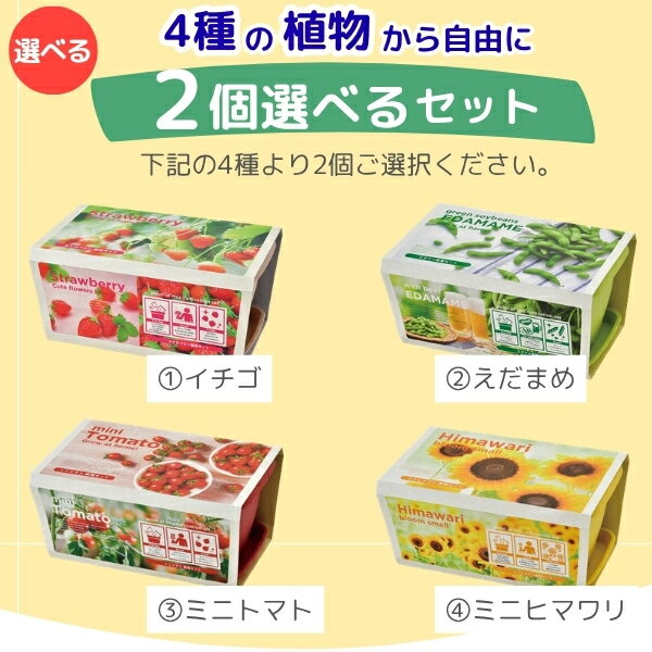 【期間限定ポイント5倍】【ラッピング無料】 自由に選べる2個セット 子どもと育て...