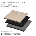 【10%OFFクーポン】ザ・シート 座席用マットレス ボディドクター P1 QSM-100 NX