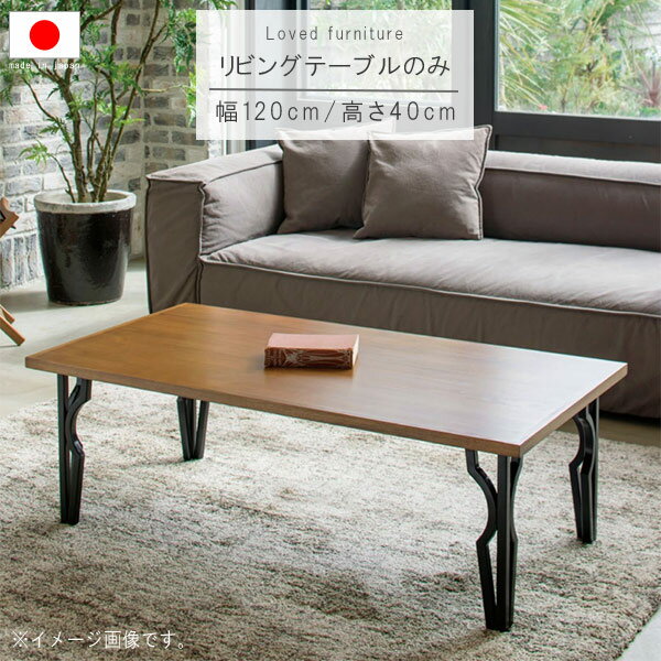乐天商城 - リビングテーブル 単体 幅120cm ブラウン×ブラック 日本製 国産 アイアン 木製 アッシュ材 リビングテーブル ローテーブル 机 つくえ ツクエ シンプル モダン 北欧 GYHC QOG-260 家具 P10 クレセント