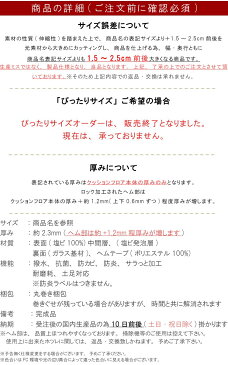 玄関マット 30×90cm クッションフロア 撥水 床にピタッ！滑り止め 抗菌 防カビ 防炎 耐磨耗 土足OK 防汚・傷防止におすすめ ビニールクッションで表面さらさら お手入れが簡単に！国産 日本製【QSM-60】【P1】【JG】