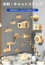 キャットステップ 猫 セット 天然木材 壁 壁付け シンプル 棚板 足場 木製 クリア 猫用ステップ キャットウォーク 壁付け 壁掛け 穴開け不要 取付簡単