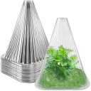 植物 カバー 苗カバー 苗ポット 育苗セット 苗ドーム 10セット 高さ22/29cm 播種用 透明 植物保護 鳥よけ 植木鉢カバー