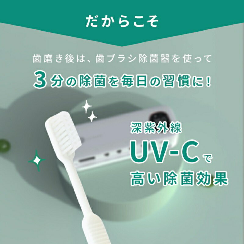 歯ブラシ除菌器 壁掛け 充電式 UV-C除菌 スピード乾燥 T字カミソリ 穴あけ不要 カビ防止 洗面所 衛生
