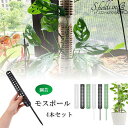 モスポール 支柱 園芸支柱 4本セット 連結可 観葉植物 モンステラ プラスチック 園芸 植物サポート