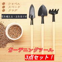 芸工具 3点セット 花育て 熊手 野菜栽培 庭園栽培用 木製用品 手植え 除草 多肉 スコープ工具 盆栽用品 スコップ本 ツール シャベル本 盆栽用品
