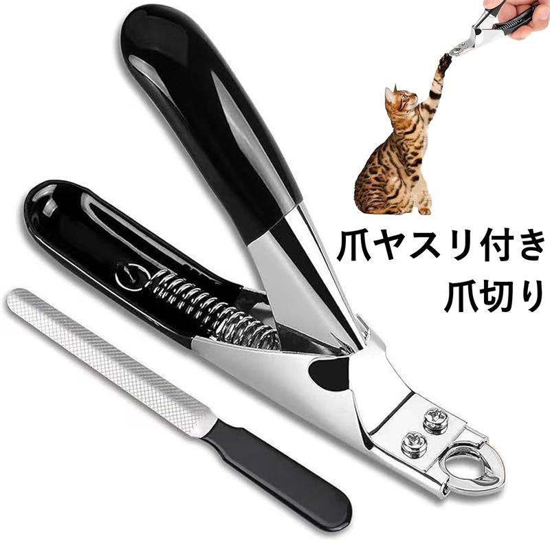  ڤ  Ĥ᤭  鿴 ǭ ڤ ǭ Ĥ᤭ ޥ䥹դ ͥȥޡ 󥿥  ѥ 鿴Ԥ...