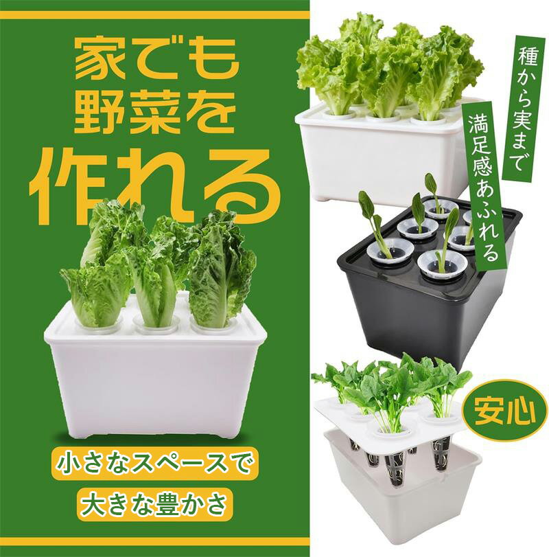 高品質素材・長持ち設計 水耕栽培ボックスは高品質ポリプロピレン樹脂を採用し、耐久性に優れています。繰り返し使用可能で、清潔・安心してご家庭の菜園を楽しめます。 必要なアイテムがすべて揃うセット ボックス×1、プランティングバスケット×6、栽培蓋×1。初心者でもすぐに始められる充実の水耕栽培キットです。 季節を問わず一年中栽培可能 土を使わないので、室内・屋外問わず簡単に栽培可能。新鮮な野菜、ハーブ、果物、花などを一年中育てられ、自宅で採れたての美味しさを楽しめます。 多様な利用シーンに対応 家庭菜園だけでなく、バルコニー、オフィス、庭、ホテル、マーケットなど幅広く利用可能。清潔で衛生的な水耕栽培システムはプレゼントにもおすすめです。 初心者にも優しい簡単操作 複雑な作業や土耕作業は不要。設置・管理が簡単で、初心者や忙しい方でも手軽に家庭菜園を始められます。メンテナンスもラクで省エネ＆時短。