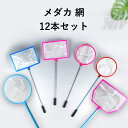 メダカ 網・ミジンコネット セット 12本入|フィッシュネット・ 粗目&細目 2種×枠3タイプ 観賞魚採集・稚魚すくい用 アクアリウム用品 メダカすくい 網 稚...