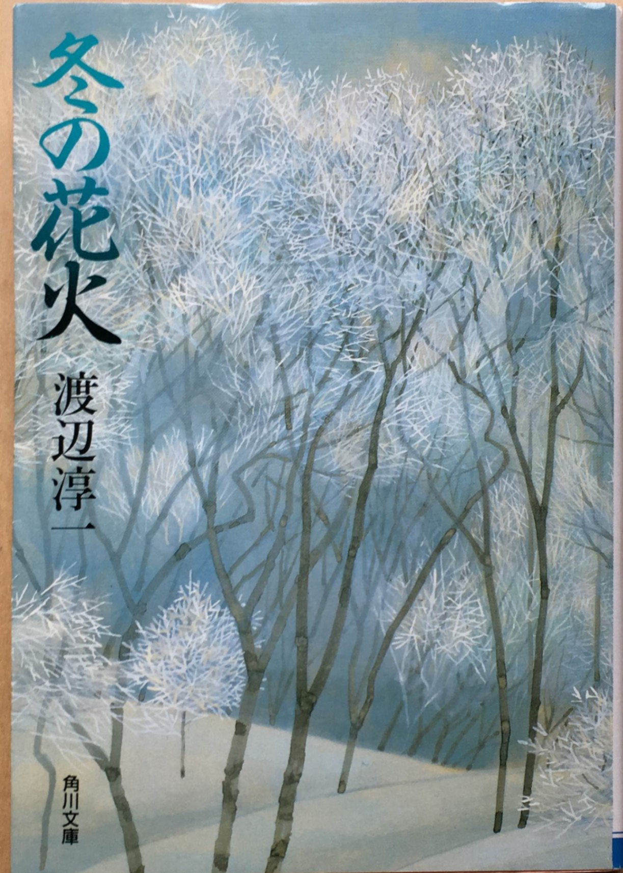 楽天みけねこ堂［中古］冬の花火 （角川文庫）　渡辺淳一　管理番号：20240207-3