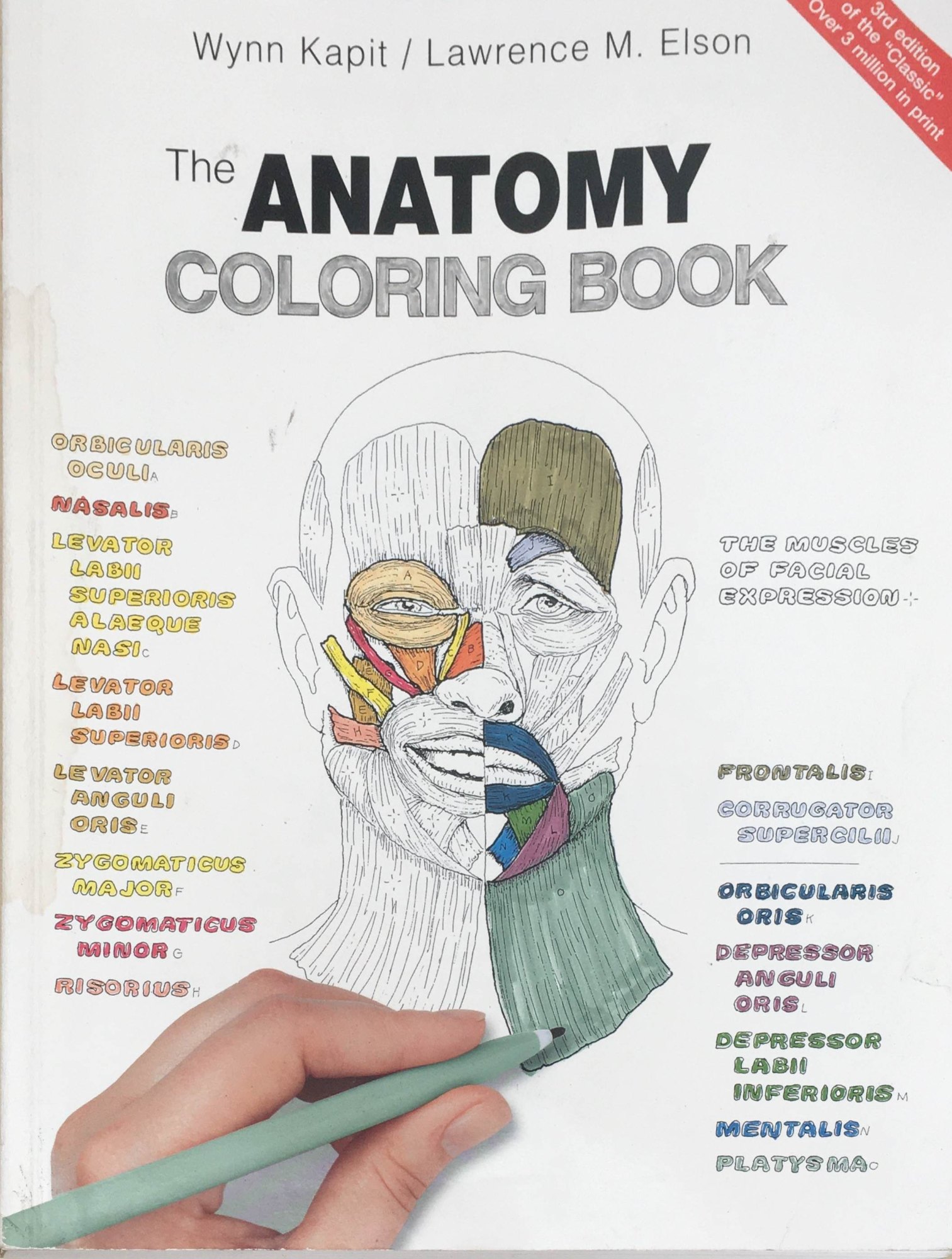 ［中古］The Anatomy Coloring Book Wynn Kapit, Lawrence M.Elson 管理番号：20240322-1