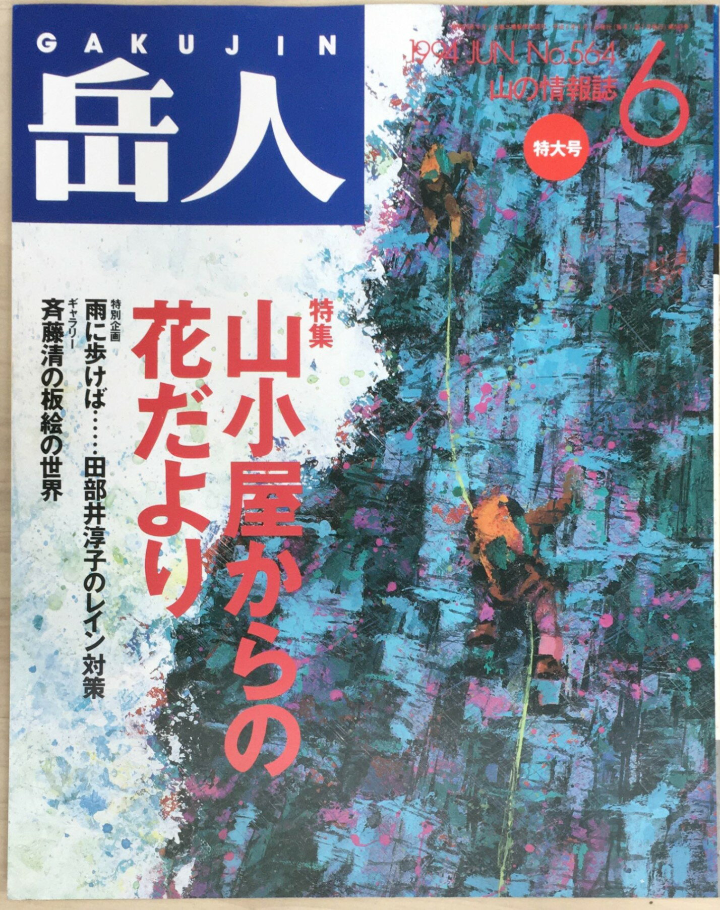 ［中古］岳人　1994年6月号　No.564　管理番号：20240404-1