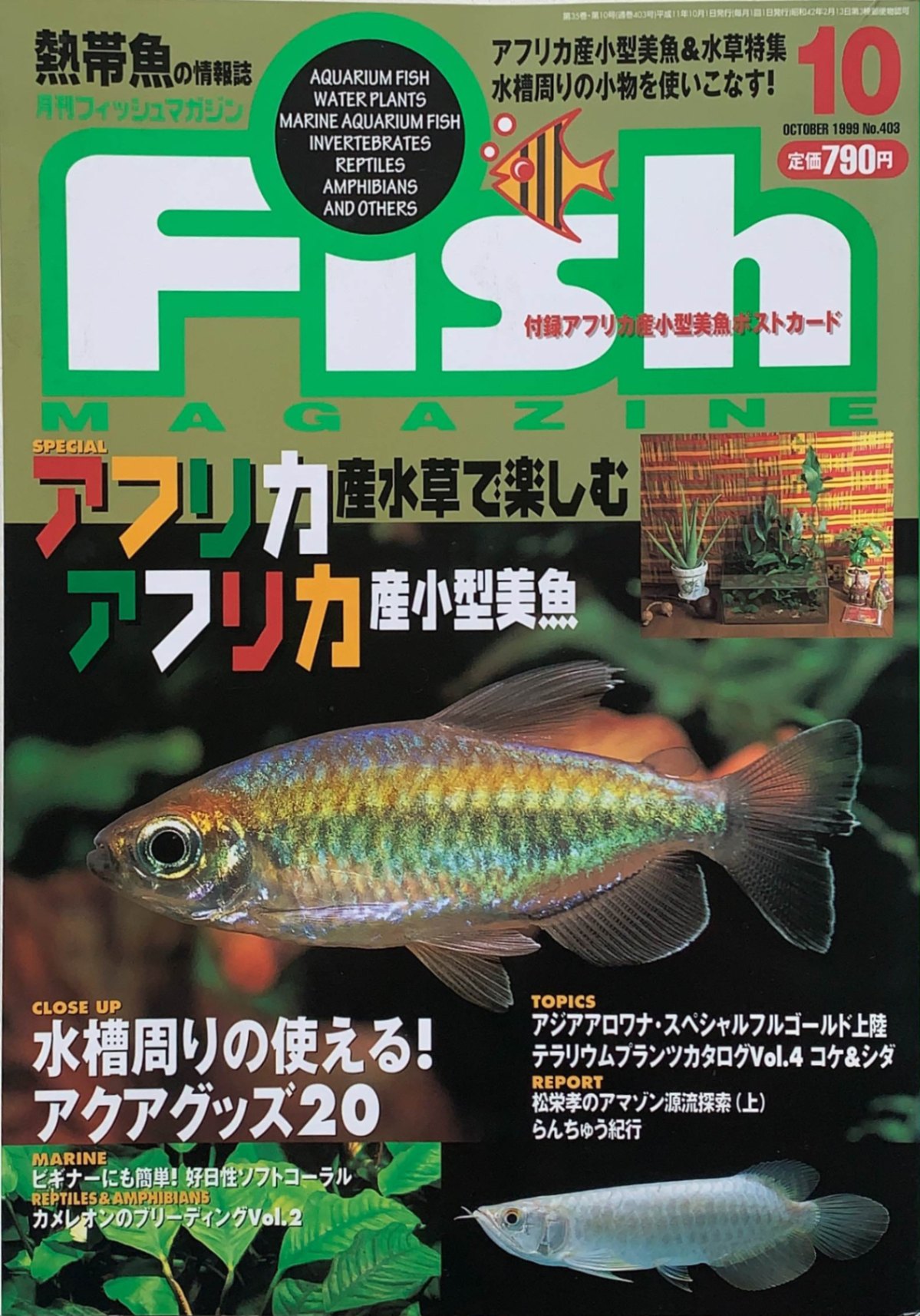 ［中古］月刊フィッシュマガジン　1999年10月号　※付録欠品　管理番号：202400522-1