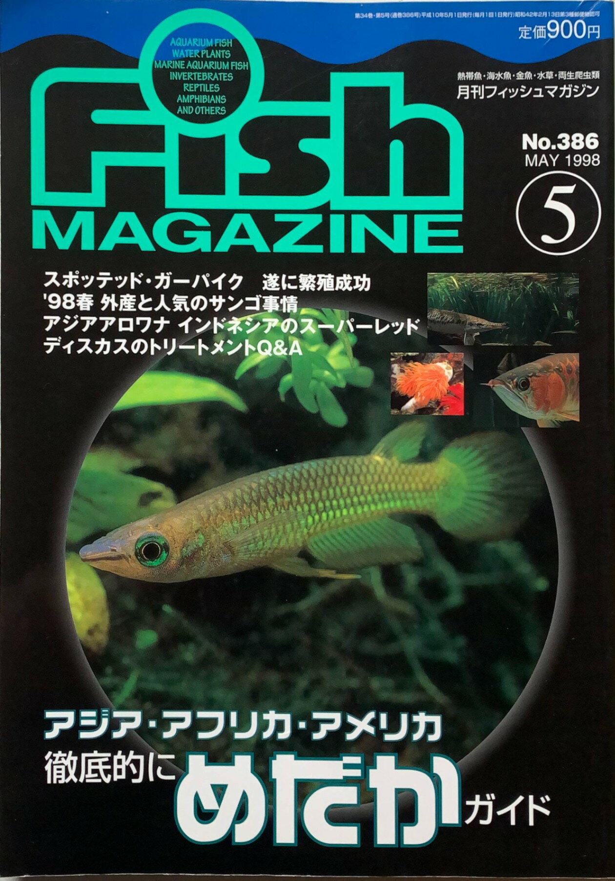［中古］フィッシュマガジン　1998年5月号　管理番号：202400522-1
