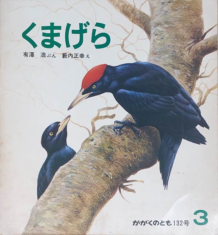 ［中古］月刊かがくのとも　くまげら　通巻132号　1980年3月　管理番号：20240607-1