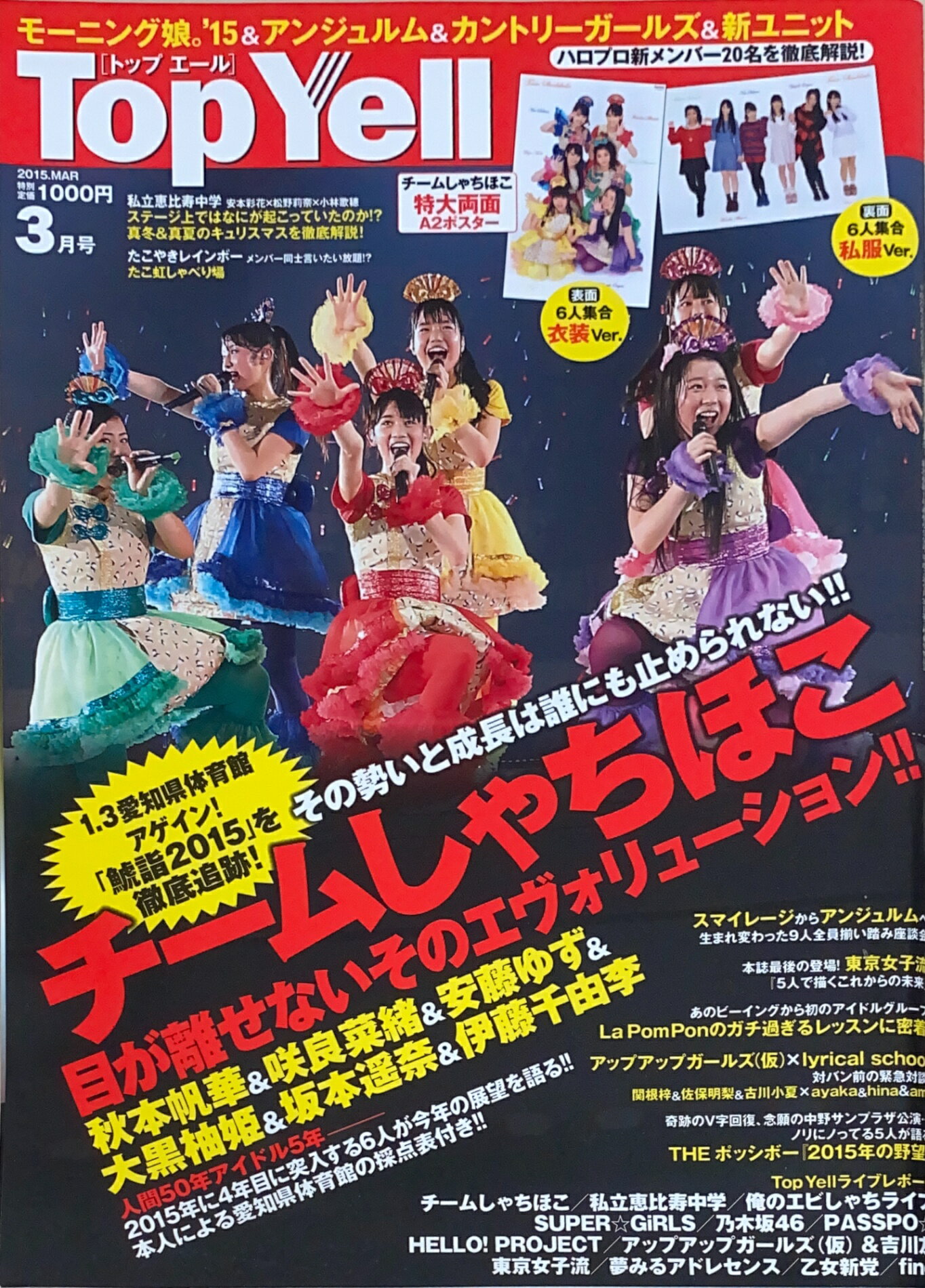 ［中古］※付録有　TopYell(トップエール) 2015年 03 月号　管理番号：20240703-1