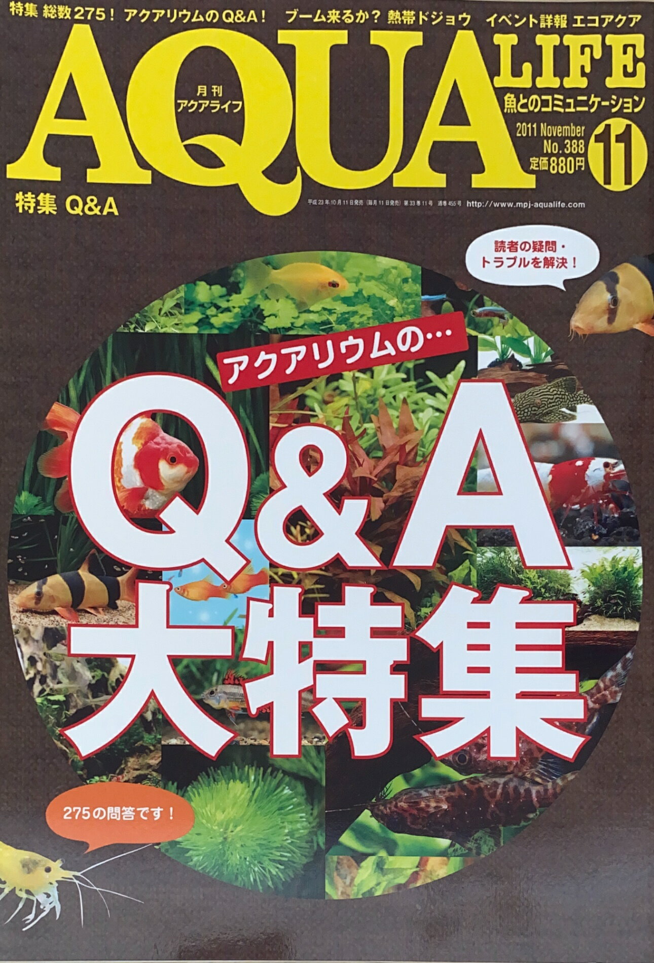 ［中古］月刊 AQUA LIFE (アクアライフ) 2011年 11月号　管理番号：20241023-1