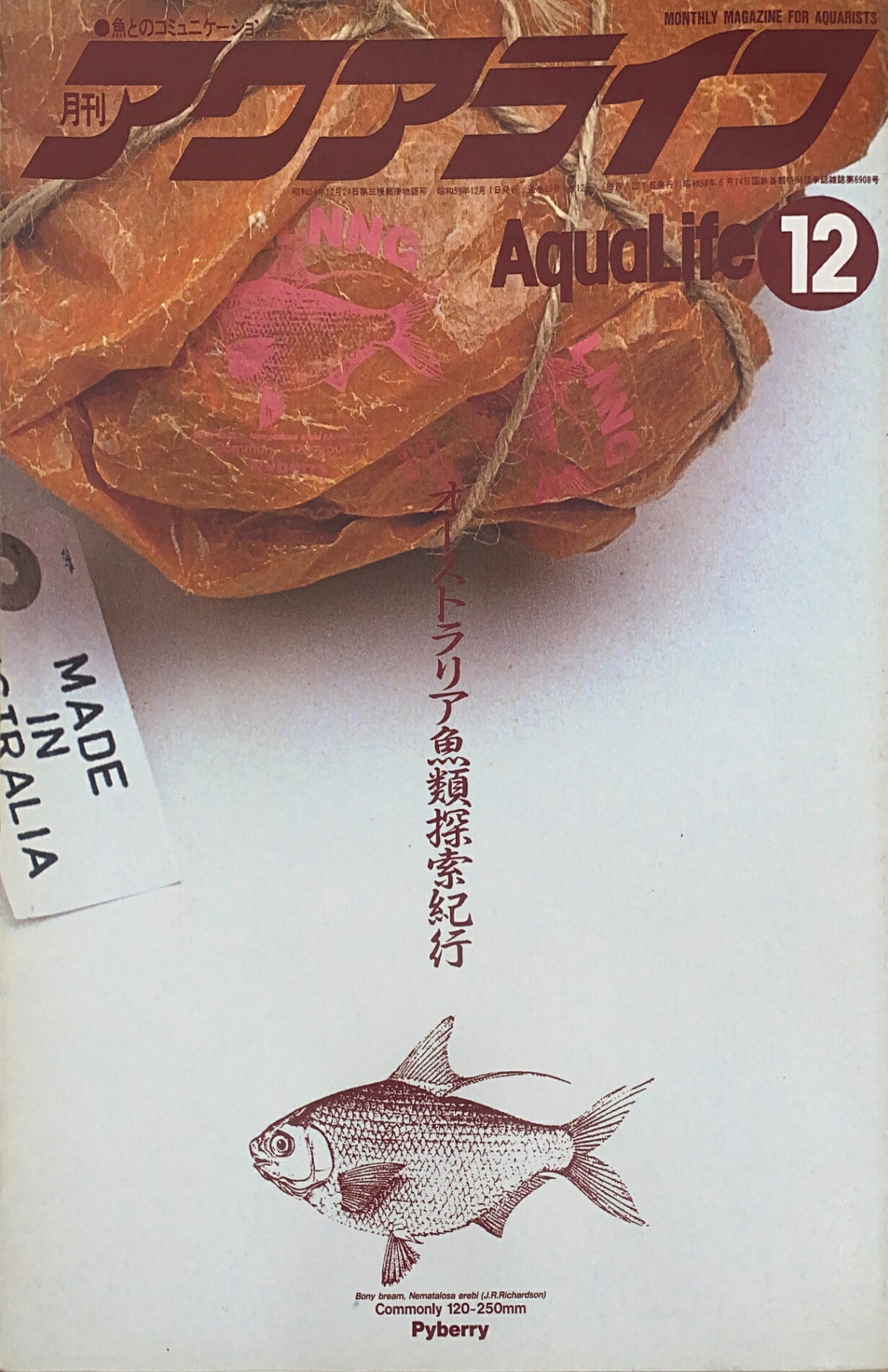 ［中古］月刊 AQUA LIFE (アクアライフ) 　1984年12月号　管理番号：20241117-1