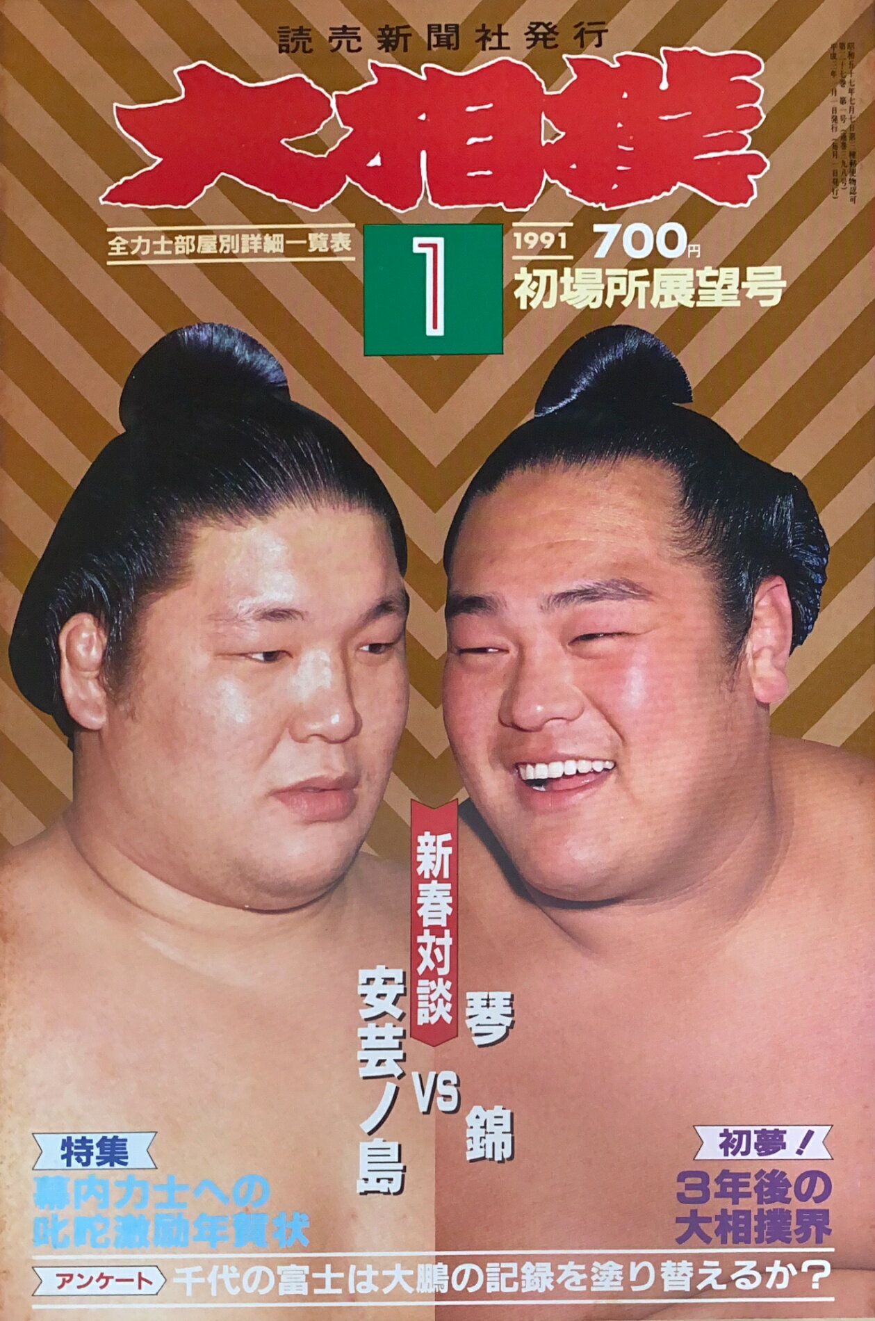 ［中古］大相撲　1991年01月号　管理番号：20241120-1