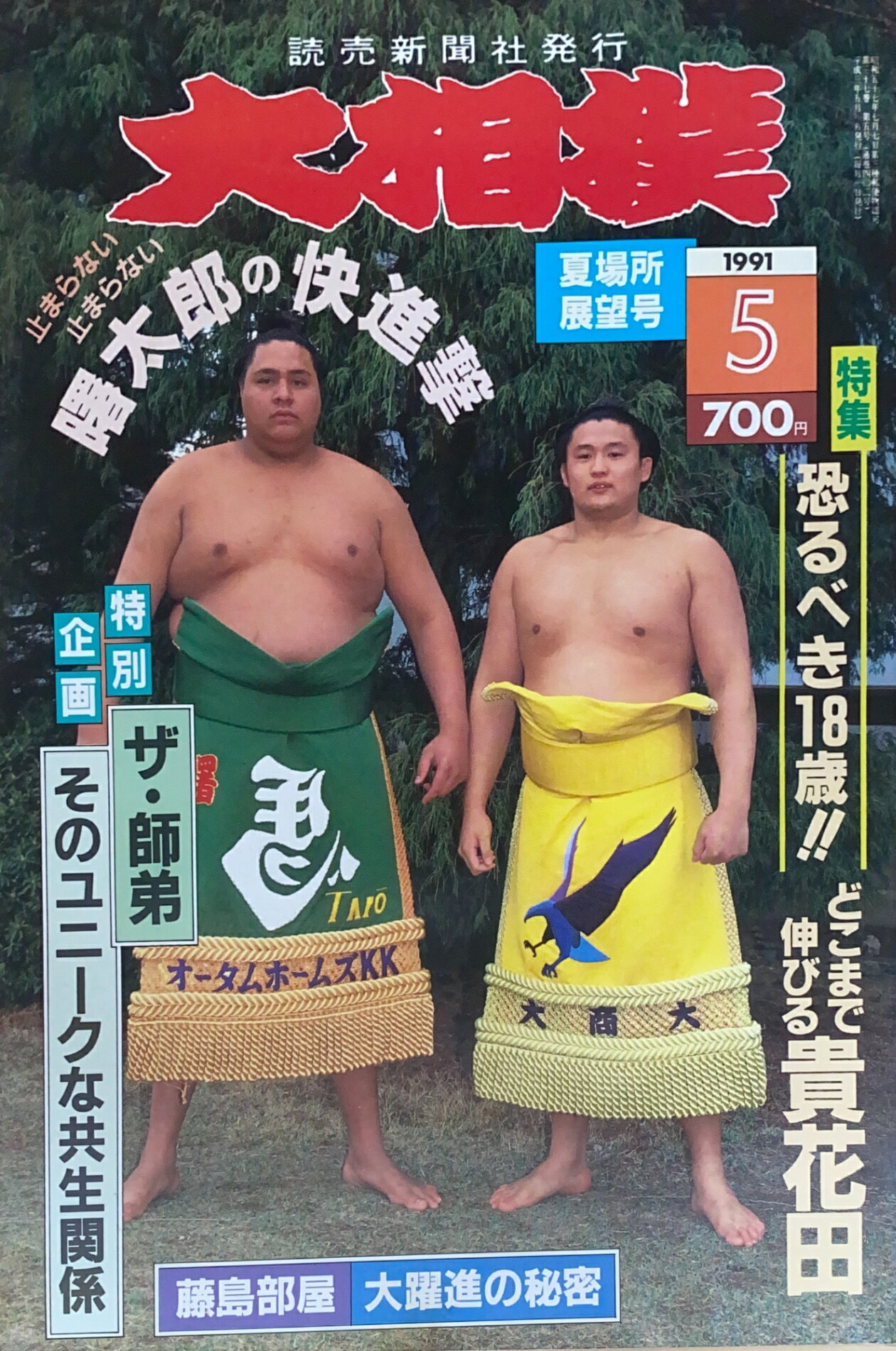 ［中古］大相撲　1991年05月号　管理番号：20241120-1