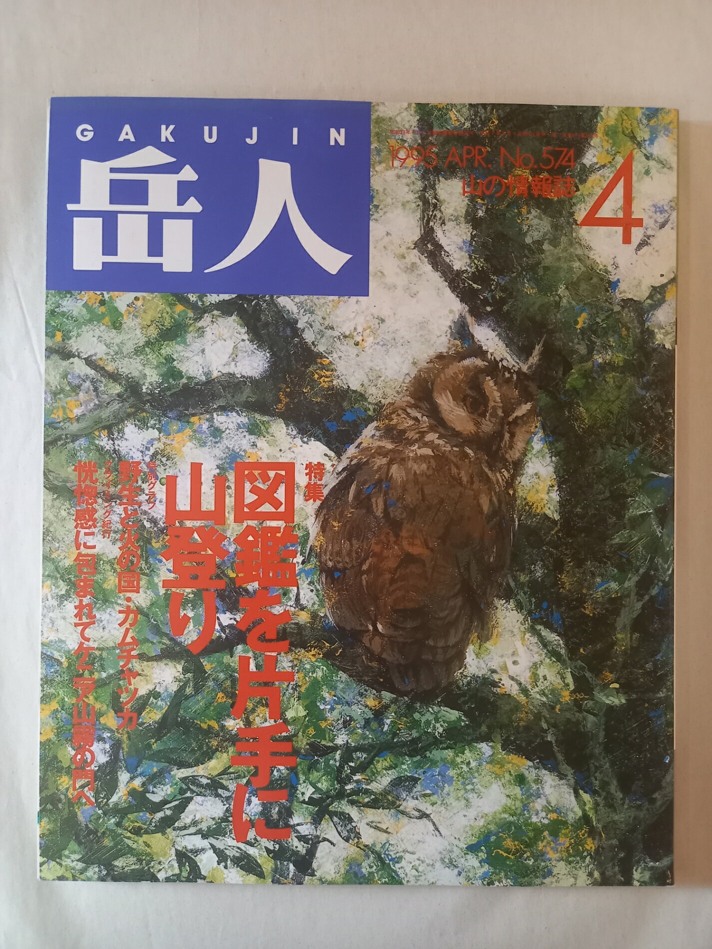 ［中古］岳人　1995年4月号
