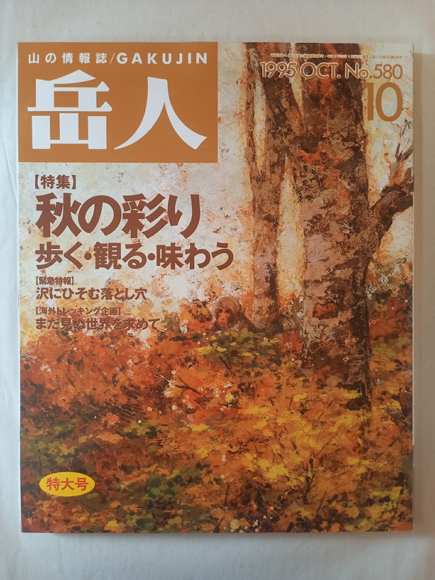 ［中古］岳人　1995年10月号
