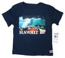 ◯【 クイックシルバー quiksilve r】 『 HAWAII ( NV ) 2Tサイズ 』 キッズTシャツ アメリカン雑貨 アメリカ雑貨 アメ雑 カンパニーグッズ アドバタイジング レトロアメリカン