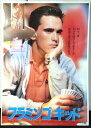 ◎【映画 ポスター/movie poster】『 フラミンゴキッド 1984年公開映画 / B2サイズ ポスター 』ポスター インテリア ディスプレイ 当時物 ...