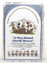 ◎【ブリキ看板/tin plate】『 PEANUTS A Boy Named Charlie Brown / ブリキプレート 』ティンパネル 看板 インテリア...