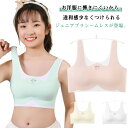 送料無料 ジュニア ブラジャー ノンワイヤーブラ スポーツブラ ファーストブラ ジュニアインナー フルカップ ハーフトップ 下着 肌着 中学生 女の子 女子 通気性 吸汗性 子供 締め付けない 痛くない 快適