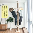 【期間限定1000円OFFクーポン】＼楽天1位／RAKU キャットタワー 突っ張り スリム 木製 厚底 太い支柱 省スペース 多頭飼い 高さ183-270cm ホワイトコットン 天然麻 キャットツリー 木登りタワー 滑り止めマット 宇宙船 爪とぎ 猫タワー 安定 賃貸 寝室 3