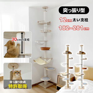 【21日迄!1000円OFF⇒12998】【突っ張り技術特許取得&30cmの支柱】 RAKU 日本メーカー 安心保証 キャットタワー 突っ張り 木製 短足猫 太さ12cm 高さ182-281cm 宇宙船 ハンモック 展望台 ラタンベッド 省スペース 多頭飼い 麻 コットン紐 滑り止め 爪とぎ 寝室 リビング