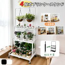 【シリーズ累計1000台販売】プランタースタンド ノップ プラントスタンド 3個セット ワイド KNOP plant stands 3 pieces set wide 屋外 北欧 ラック アイアン おしゃれ サイドテーブル 花台 植物スタンド 観葉植物 雑貨 室内 室外 グリーン シンプル かわいい 送料無料