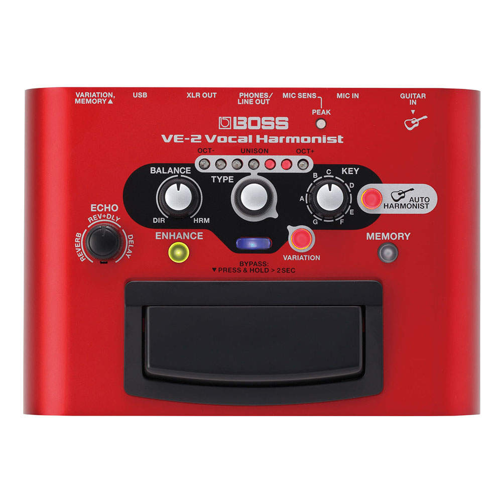 楽天市場】boss ve1の通販