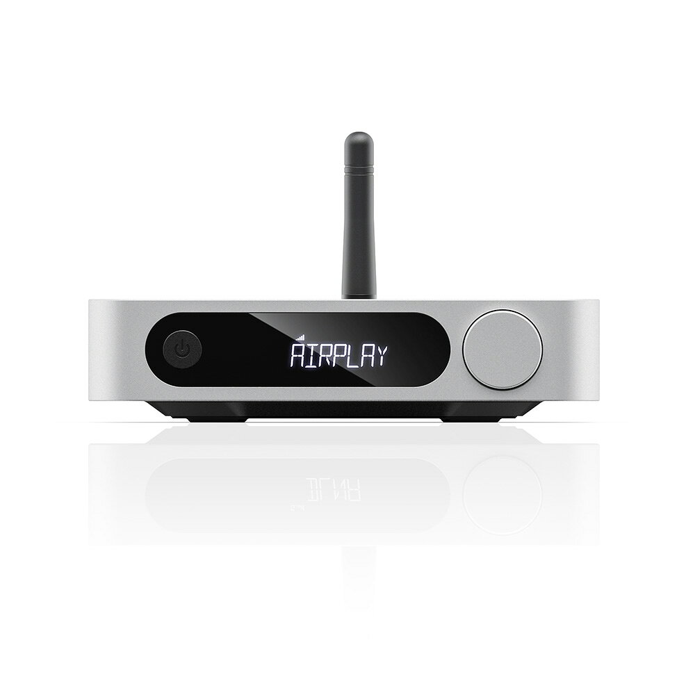 FIIO オーディオストリーマー SR11 シルバー (FIO-SR11-S) 《ロゴ入りクロスプレゼ...