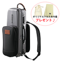 GL CASES GL トランペット ケース GLK-TRU(S) グレー B♭トランペット用ケース クロス＆巾着プレゼント！