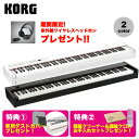 KORG コルグ / DIGITAL PIANO D1 + お手入れセット 電子ピアノ 88鍵盤