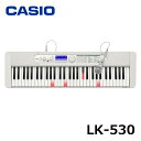 CASIO (JVI) LK-530 Casiotone irQ[V L[{[h 61 lC\O