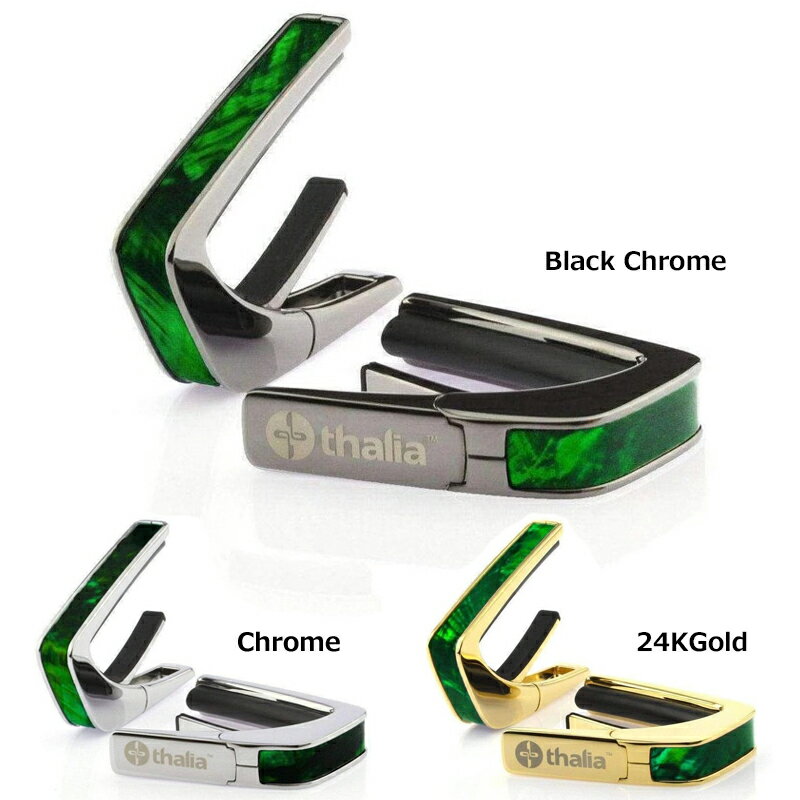 ꥢ  Thalia Capos Exotic Shell Series GREEN ANGEL WING  12եå...