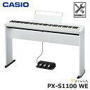 CASIO PX-S1100WEypX^hA3{y_ SP-34ZbgzJVI dqsAm Privia(vBA) zCg wy_Eʗĕtx