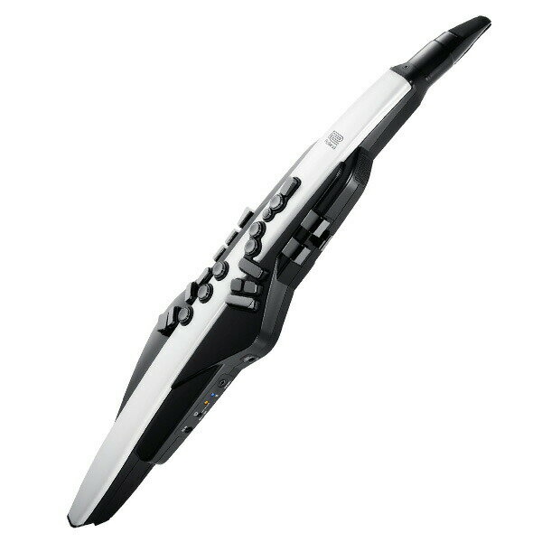 Roland ウィンド・シンセサイザー Aerophone AE-20 エアロフォン