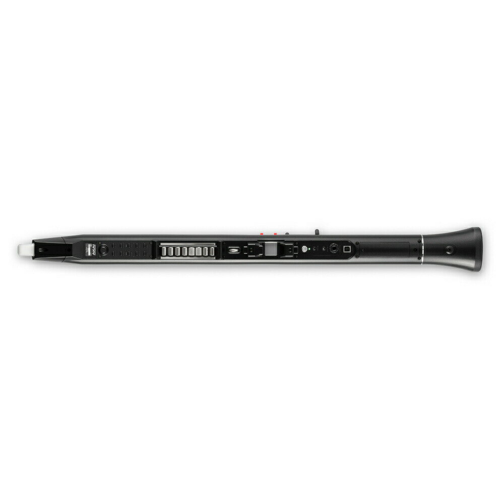 AKAI アカイ EWI SOLO ウインドシンセサイザー + スタンド WSS-100 セット《オリジナルクロスプレゼント》