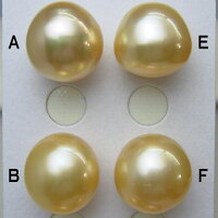 K18/K14WG南洋白蝶真珠ペンダントトップ(ナチュラルゴールド)【14mm-15mm】psq-5997【訳あり】【激安】【送料無料】(南洋真珠ペンダントナチュラルゴールド真珠ペンダントネックレス用本真珠パールペンダントルース伊勢志摩18金)【楽ギフ_包装】