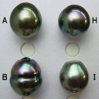 K18/K14WGタヒチ黒蝶真珠ペンダントトップ&ブラックスピネルネックレスnkl-5529【10mm-11mm】【激安】【送料無料】(黒真珠ペンダントネックレス本真珠タヒチ産ピーコック南洋黒蝶パール18金母の日)【あす楽対応_関東】【楽ギフ_包装】