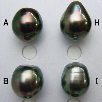K18/K14WGタヒチ黒蝶真珠ペンダントトップ&ブラックスピネルネックレスnkl-5529【10mm-11mm】【激安】【送料無料】(黒真珠ペンダントネックレス本真珠タヒチ産ピーコック南洋黒蝶パール18金母の日)【あす楽対応_関東】【楽ギフ_包装】