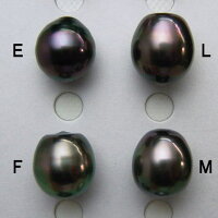 K18/K14WGタヒチ黒蝶真珠ペンダントトップ&ブラックスピネルネックレスnkl-5529【10mm-11mm】【激安】【送料無料】(黒真珠ペンダントネックレス本真珠タヒチ産ピーコック南洋黒蝶パール18金母の日)【あす楽対応_関東】【楽ギフ_包装】