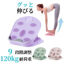 ストレッチボード 足首 ストレッチ ふくらはぎ 器具 9段階 アキレス腱 筋トレ 柔軟ボード コンパクト 軽量 耐荷重 120kg 背骨 首こり 肩こり 背中 むくみ 解消 ストレッチャー おしゃれ