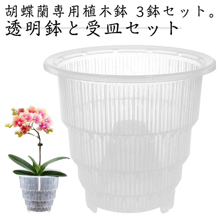 胡蝶蘭専用 植木鉢 3鉢セット 胡蝶蘭の植え替え 鉢 受皿付き 多穴型 通気性抜群 根腐れ防止 直径10cm 直径12cm 直径15cm 排水穴付き プラスチック おしゃれ 蘭の鉢 観葉植物の鉢 透明 クリア 根が見える鉢 多肉植物 洋蘭 胡蝶蘭